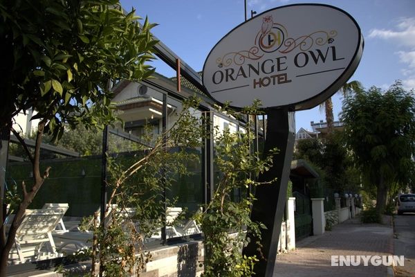 Orange Owl Hotel Genel