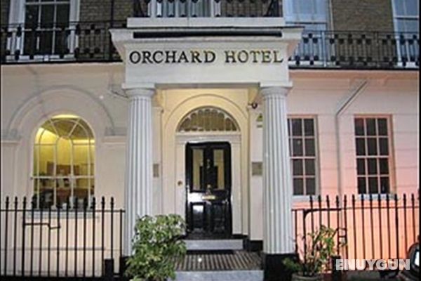 Orchard Paddington Hotel Genel