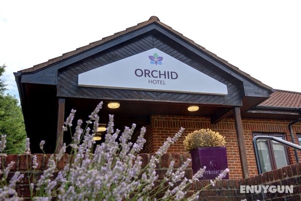 Orchid Epsom, Sure Hotel Collection by Best Western Öne Çıkan Resim