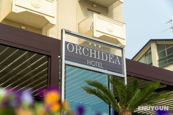Hotel Orchidea Öne Çıkan Resim