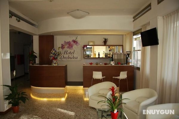 Hotel Orchidea Genel