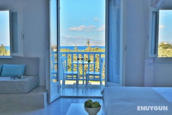Orion Naxos Hotel Öne Çıkan Resim