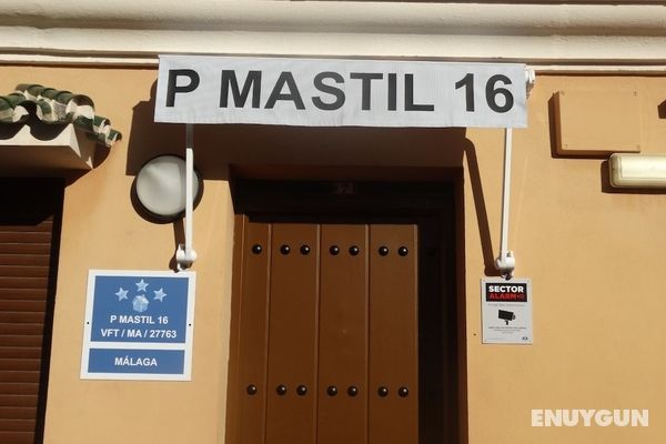 P Mastil 16 Öne Çıkan Resim