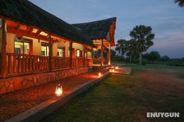 Pakuba Safari Lodge Öne Çıkan Resim
