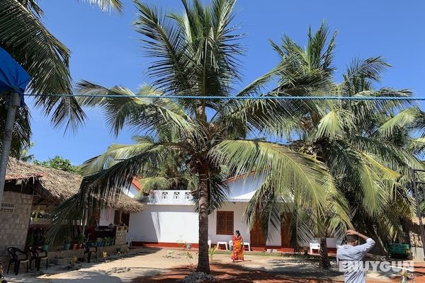 Palm view inn-Nilaveli Öne Çıkan Resim