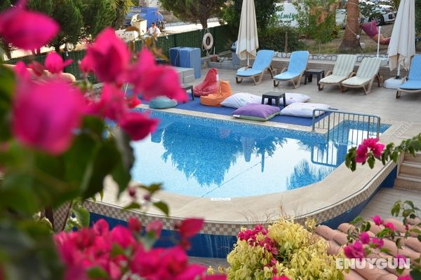 Palmiye Apart Otel Genel