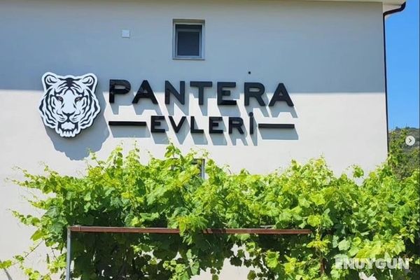 Pantera Evleri Genel