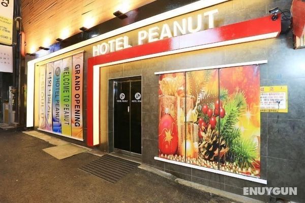 Peanut Hotel Öne Çıkan Resim