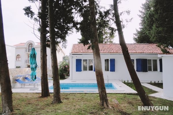 Petrovac Holiday House with pool Öne Çıkan Resim
