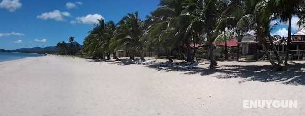 Phaidon Beach Resort Genel