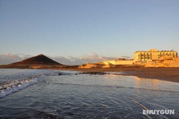 Playa Sur Tenerife Genel
