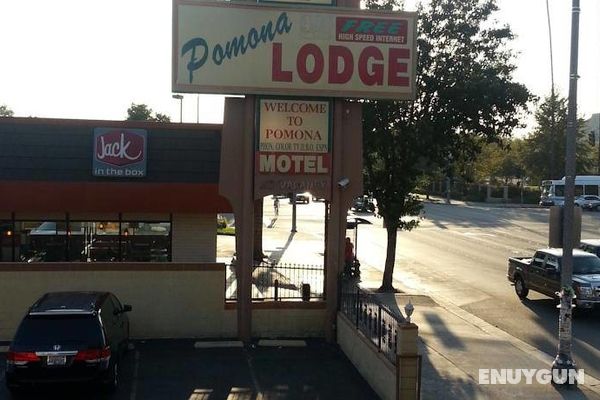 Pomona Lodge Genel