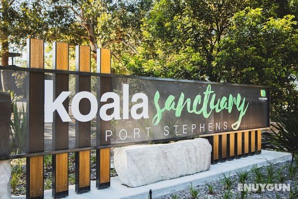 Port Stephens Koala Sanctuary Öne Çıkan Resim