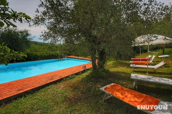 Pretty Farmhouse in Siena With Shared Swimming Pool Öne Çıkan Resim