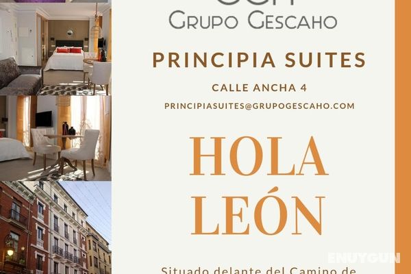 Principia Suites Genel