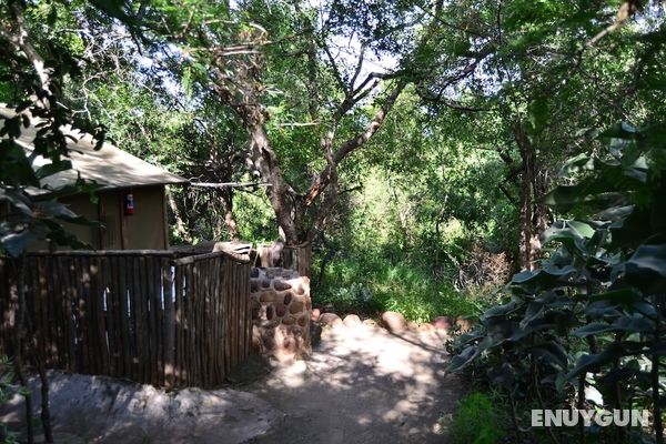 Pure Wilderness in Amanzimlotzi Riverside Bush Tent in Limpopo, Kruger Park Öne Çıkan Resim