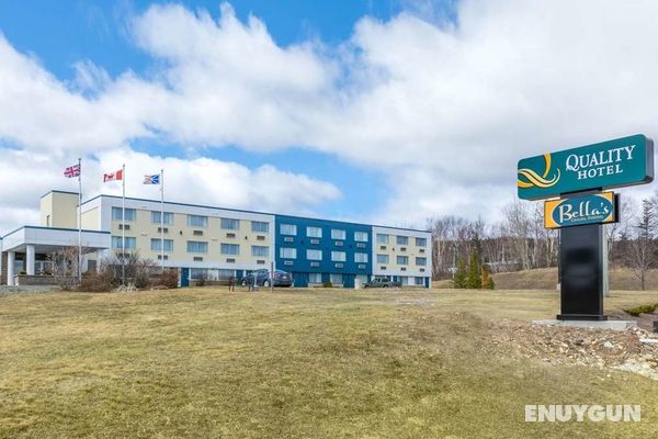 QUALITY HOTEL St. Johns - NF Genel