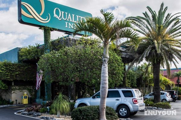 Quality Inn South Miami Genel