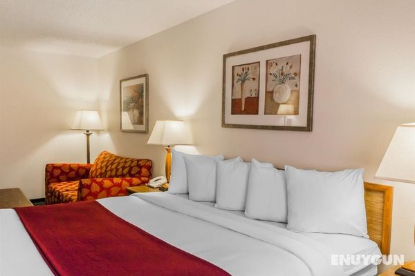 Quality Inn & Suites Golden - Denver West - Federa Genel