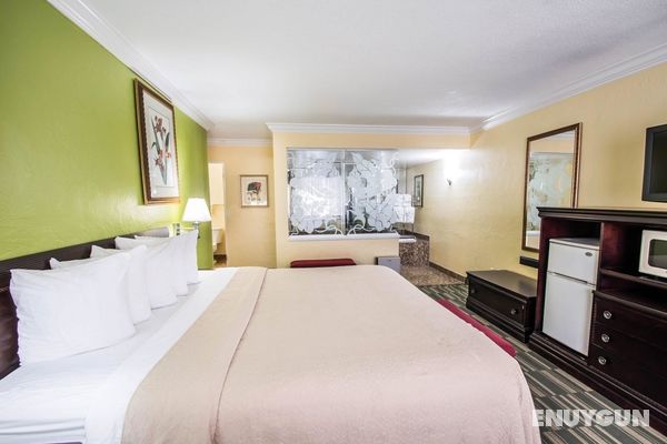 Quality Inn & Suites On The Beach Ormond Genel