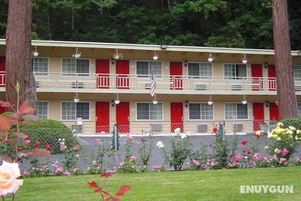 Quality Inn & Suites Santa Cruz Mountains Genel