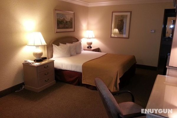 Quality Inn & Suites Sonoma Genel
