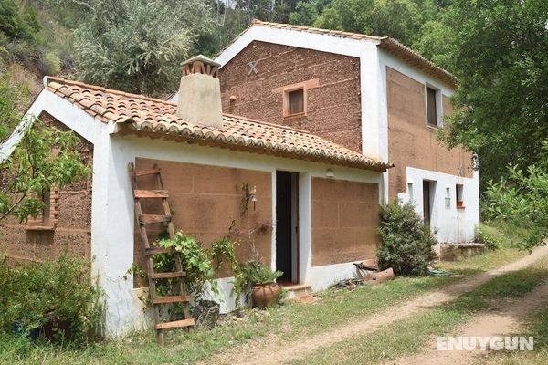 Quiet Cottage in Estate Casas da Cerca near Troviscais Dış Mekan