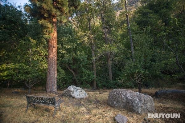 Quiet Mind Lodge Retreat & Spa  Sequoias Genel