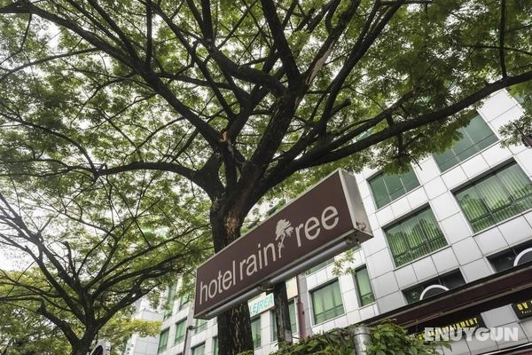 Raintree Hotel Öne Çıkan Resim