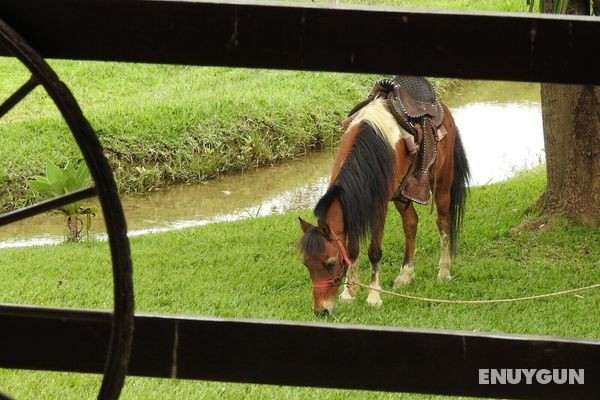 Rancho Moreira - Pousada e Restaurante Genel