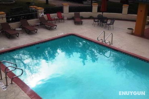 Red Roof Inn and Suites Addison Havuz