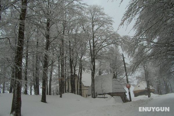 Remarkable 3-bed House in Zabljak Öne Çıkan Resim