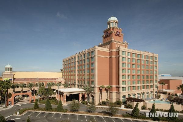 Renaissance Tampa International Plaza Hotel Genel