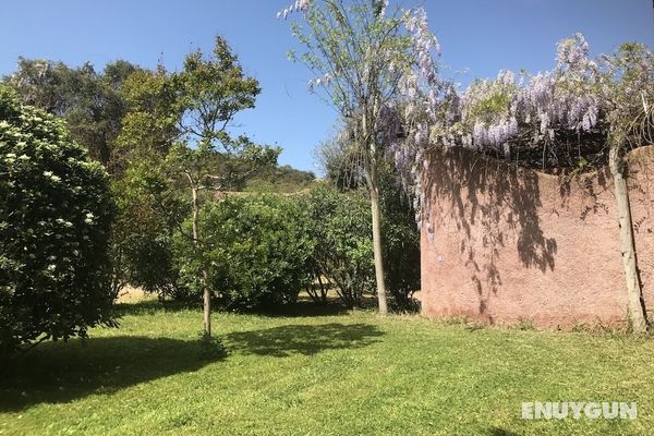 Residence Les Cigales Öne Çıkan Resim