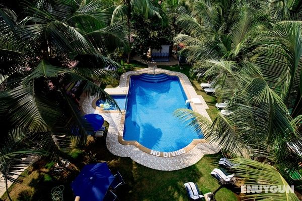 Resort Palmeiras Dourado Öne Çıkan Resim