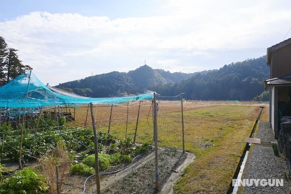 ~Rice terrace~Kumano Kodo Ohechi Route Genel