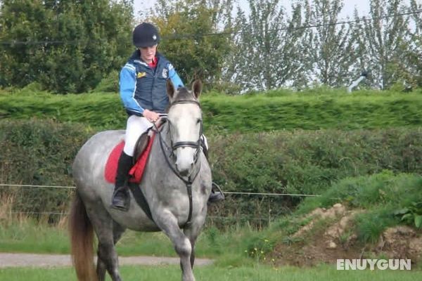 Ross House Equestrian Holidays Genel