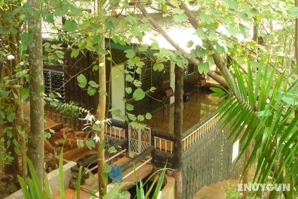 Sam's Jungle Guesthouse Öne Çıkan Resim
