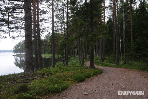 Sandvik Gård Genel