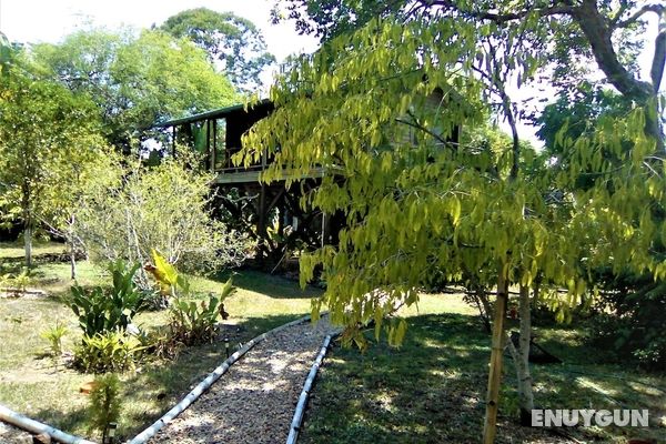 Sanpopo Tree Top Cottage - A Gold Standard Tourism Approved Tree Top Home Öne Çıkan Resim