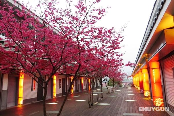 Sanyi Sakura Resort Öne Çıkan Resim