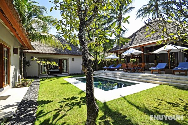 Villa Sasoon Bali Genel