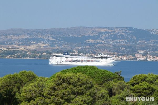 Seapine Studios Öne Çıkan Resim