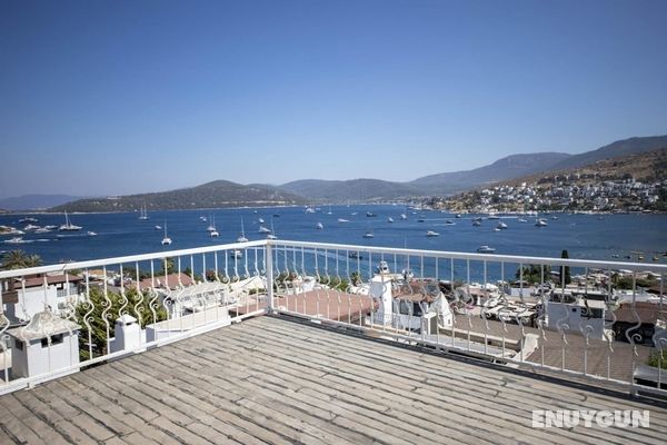 Seaside House With Mesmerizing View in Turkbuku Öne Çıkan Resim