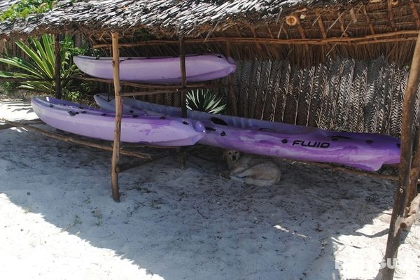 Seasons Lodge Zanzibar Genel