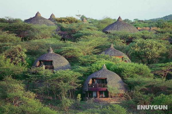 Serengeti Serena Safari Lodge Genel