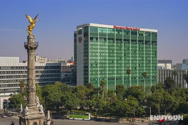 Sheraton Mexico City Maria Isabel Hotel Genel