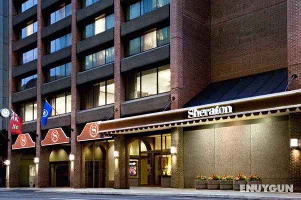 Sheraton Hotel Ottawa Genel