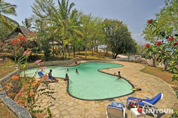 Shimoni Reef Lodge Öne Çıkan Resim