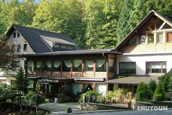 Siegerland-Hotel Haus im Walde Genel